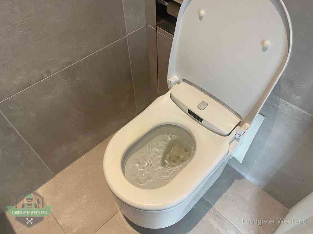 Wc Verstopt In Westland Wc Verstopt In Westland